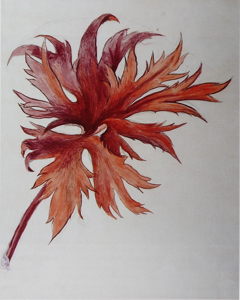 Leafspray arancione e viola, 1870